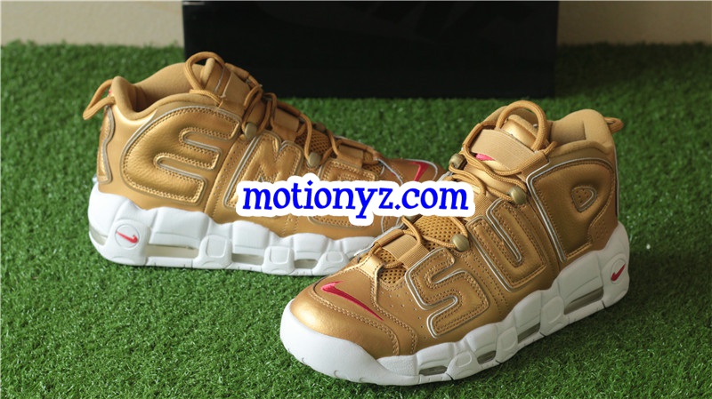 Authentic Supreme x Nike Air More Uptempo Golden